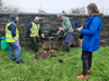 Planting Boskop Red Apple Trees